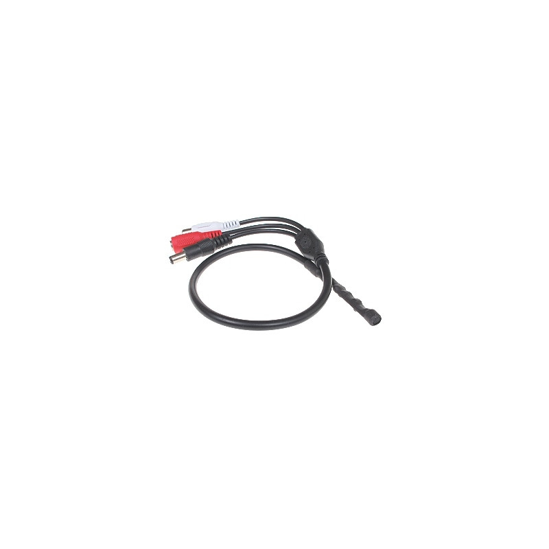 MODUŁ FONII SM-1/DCPLUG