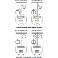 Moduł przekaźnikowy Double Switch 2 FIBARO FGS-223