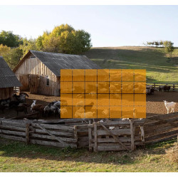 Kamera IP Imou Cell PT 4G kit 3MP bateryjna z panelem solarnym