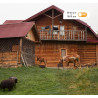 Kamera IP Imou Cell PT 4G kit 3MP bateryjna z panelem solarnym