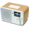 Radio internetowe Ferguson Regent i100S
