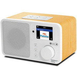 Radio internetowe Ferguson Regent i100S